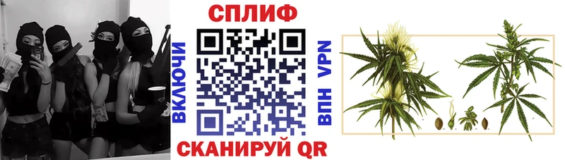 Бошки марихуана Amnesia  Мураши 